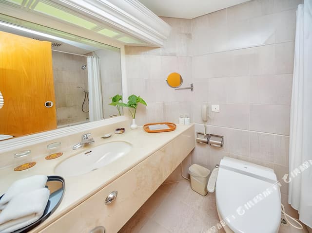 Japanese-Style Single Room