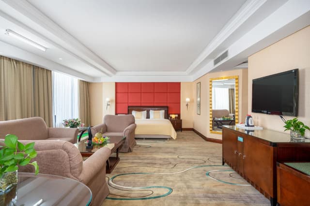 Business King Room