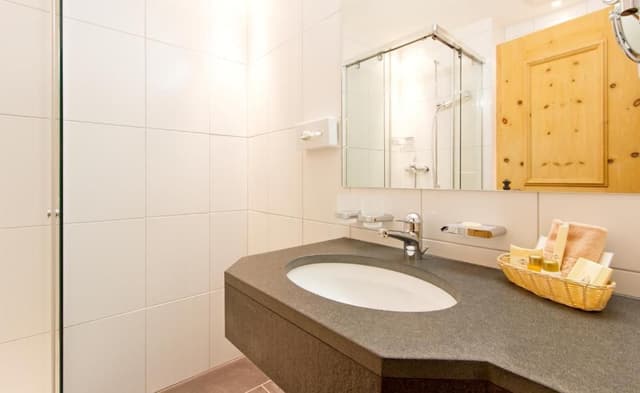 Superior Single Room