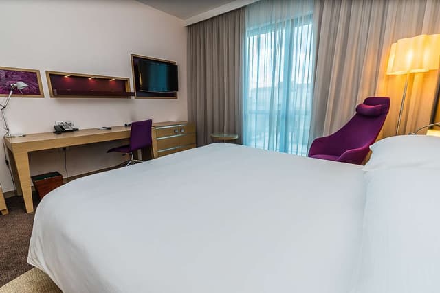KING DELUXE ROOM WITH TERRACE AND VIEW