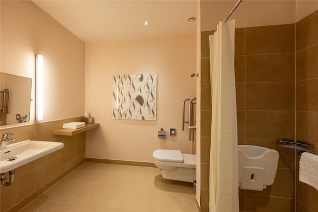 KING ACCESSIBLE GUEST ROOM