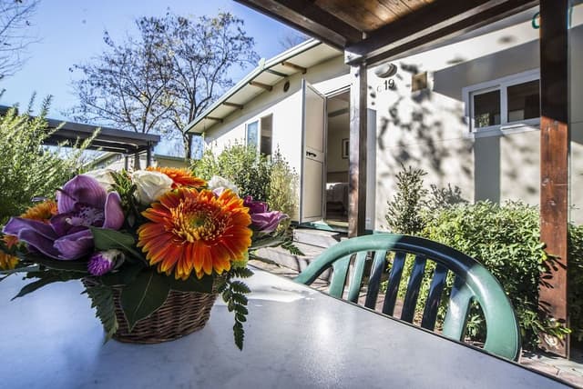 Comfort Bungalow, 1 Double Bed with Sofa bed, Kitchenette (with Patio)