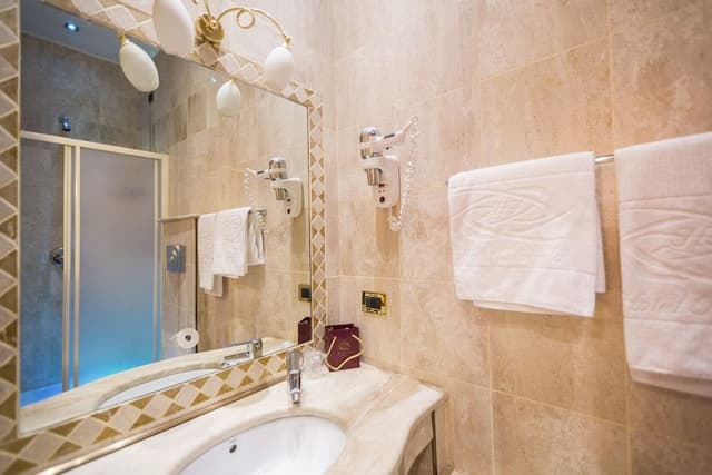 Superior Single Room