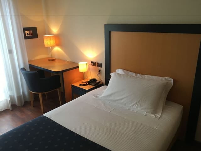 Single Room, 1 Large Twin Bed