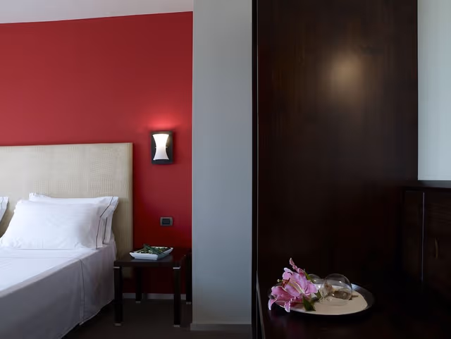 Superior Double Room Single Use