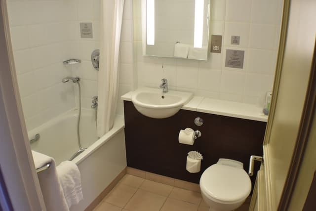 Family Room, 1 King Bed