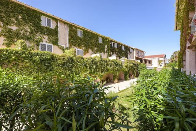 Comfort Double Room Terrace