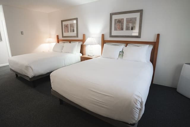 Superior Studio, 2 Queen Beds