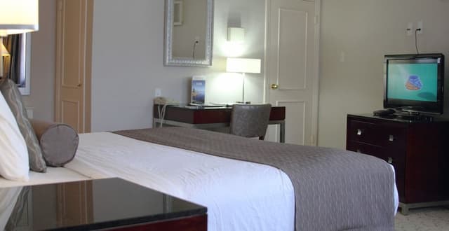 Studio, 1 King Bed