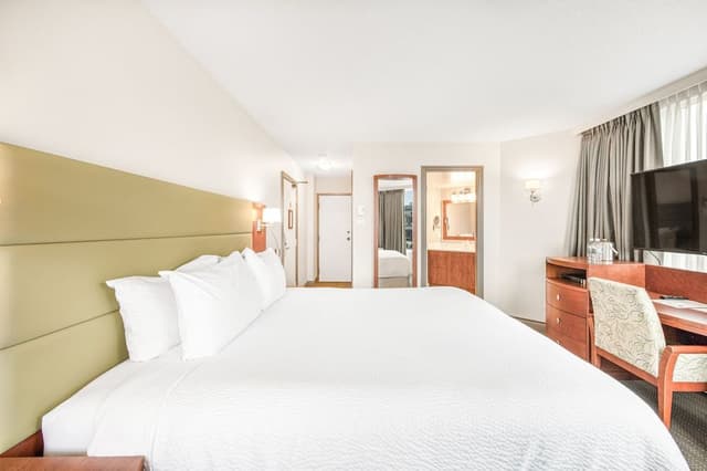 Standard Room, 1 King Bed, City View