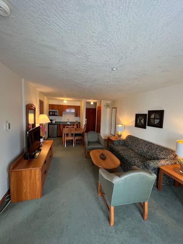 Suite, 1 King Bed with Sofa bed (Maple)