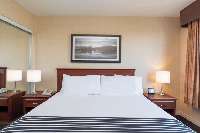 Standard Suite, 1 King Bed with Sofa bed, Kitchen (View)