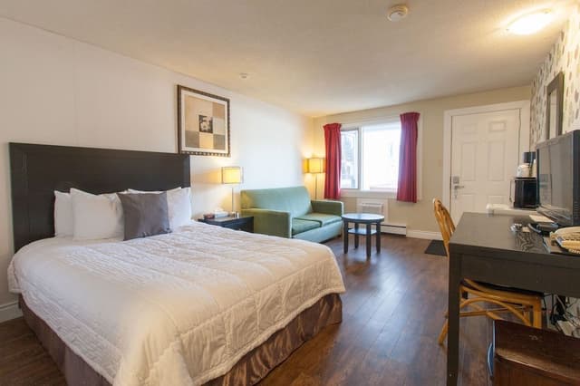 Room, 1 King Bed with Sofa bed