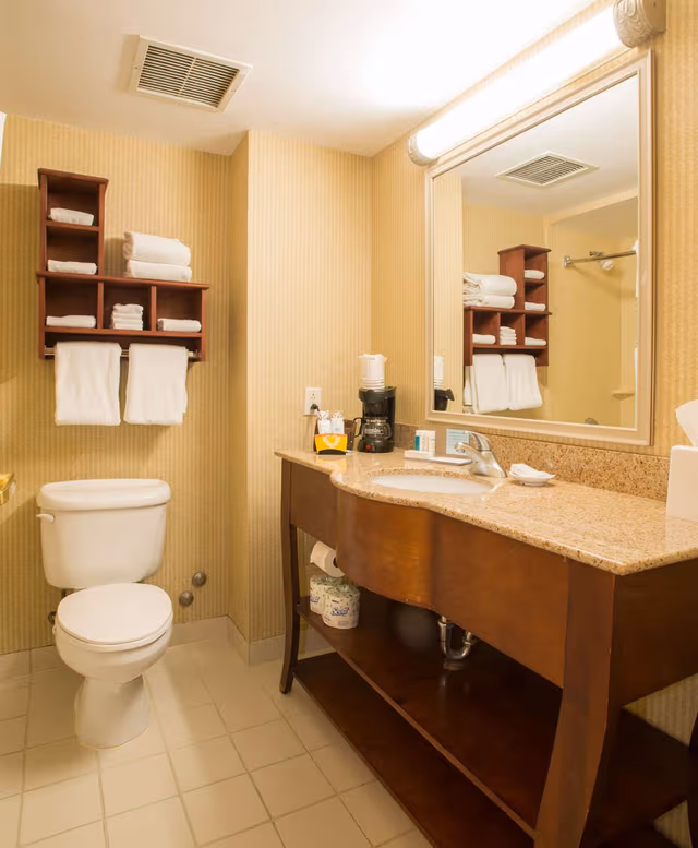 1 KING BED DELUXE ROOM NONSMOKING