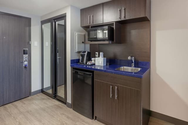 Suite, 1 King Bed, Non Smoking, Refrigerator & Microwave (Walk-in Shower;with Sofabed)