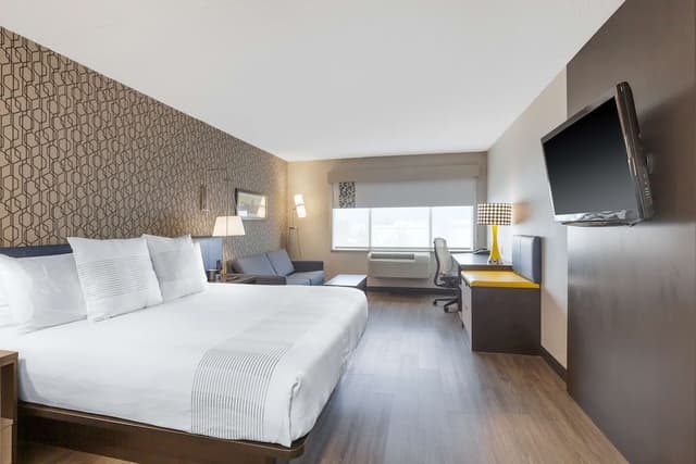 Standard Room, 1 King Bed, Non Smoking, Refrigerator & Microwave (Walk-in Shower;with Sofabed)