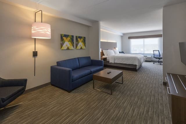 Suite, 1 King Bed with Sofa bed