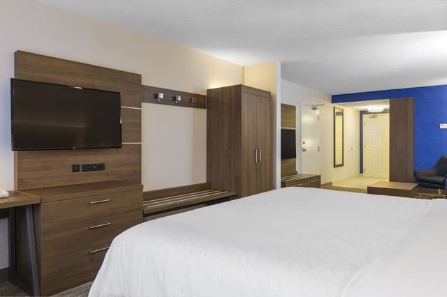 Suite, 1 King Bed with Sofa bed