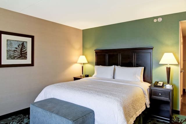 Room, 1 King Bed, Non Smoking