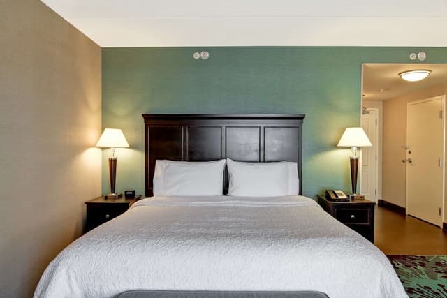 Room, 1 King Bed, Non Smoking