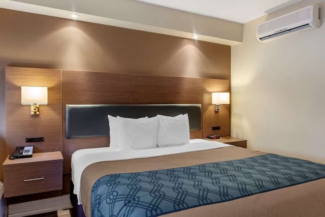 Standard Room, 1 King Bed, Non Smoking
