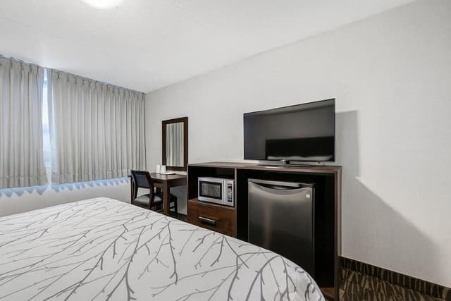 Standard Room, 1 Queen Bed (Non-wheelchair Accessible)