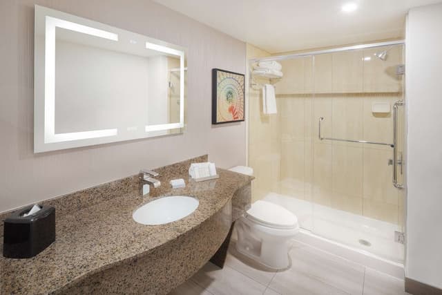 1 KING BED 1 BEDROOM SUITE