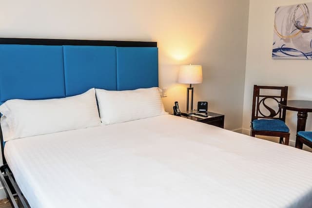 Deluxe Double Room, 1 King Bed, Non Smoking, Pets Not Allowed