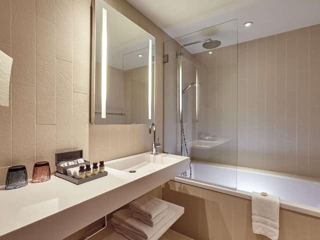 Deluxe Room 1 King Bed