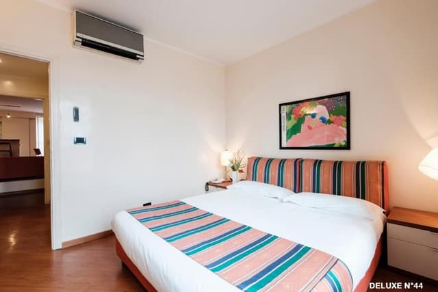Deluxe One-Bedroom Apartment