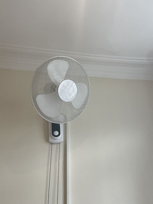 Premium Studio, Ensuite (Quad)
