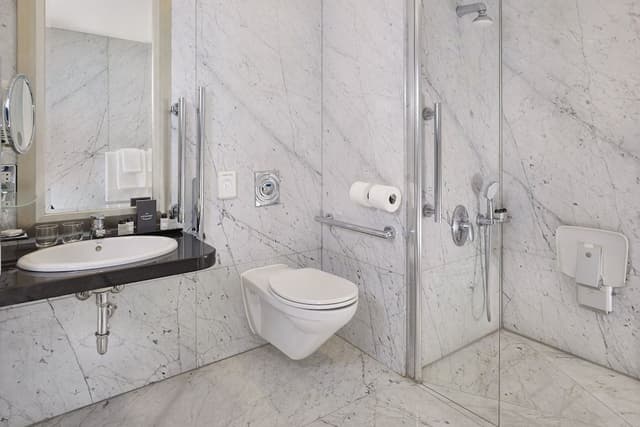 Executive Room, 1 King Bed