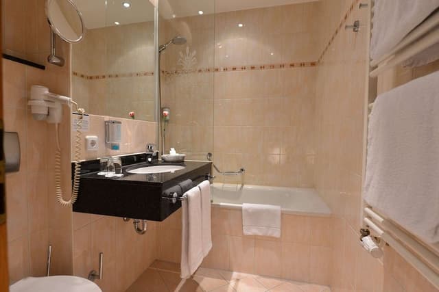 Superior Room, 1 Double Bed (Converts to 2 Twin Beds)