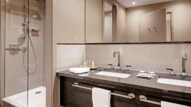 King Executive Plus Room