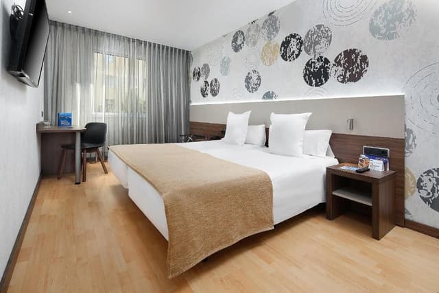 Double Room for Single Use (1 Adult)