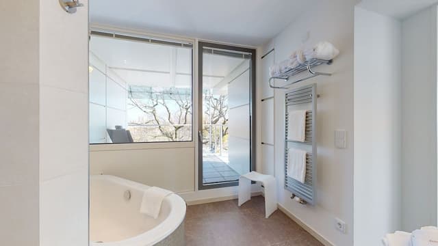 Deluxe Suite, Lake View