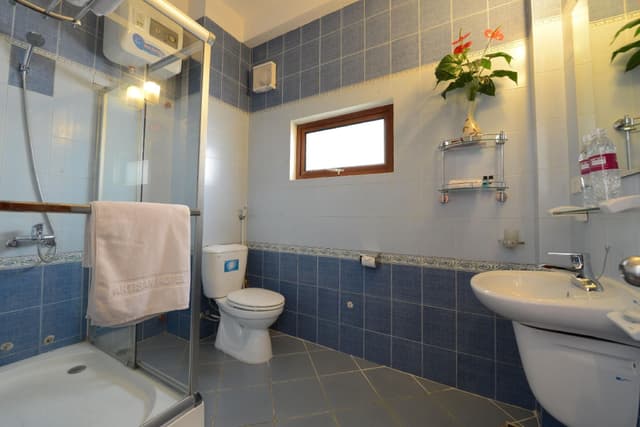 Deluxe Double or Twin Room with Lake View