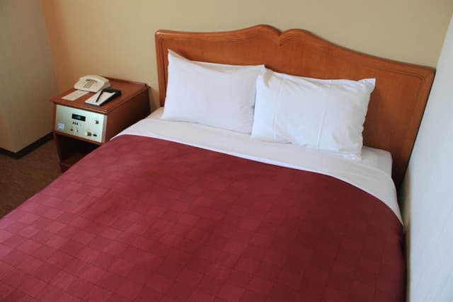 Economy Double Room, Non Smoking (Semi Double Room)