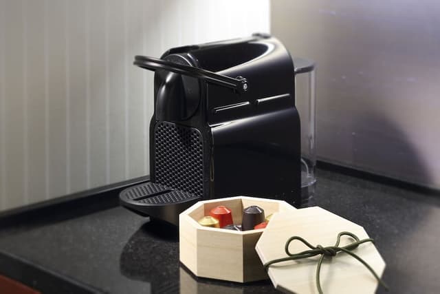Junior Suite, 1 King Bed, Non Smoking, City View / Lounge and Spa Access