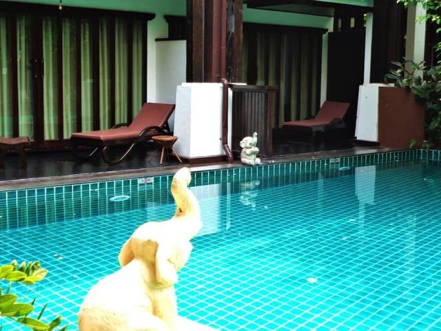 Executive Poolside King