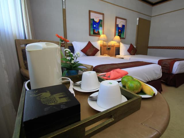 Deluxe Twin Room
