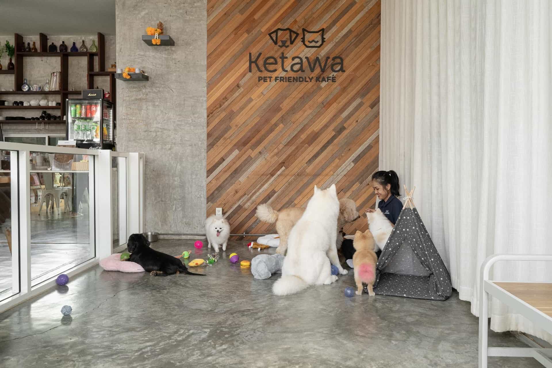 Ketawa Pet Friendly Hotel Ketawa Pet Friendly Hotel