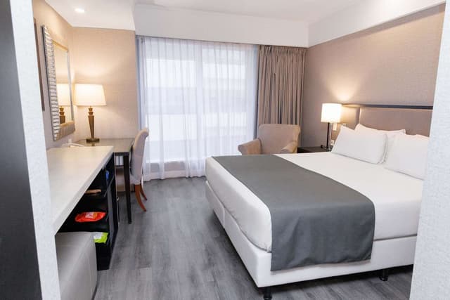 1 KING BED-30 SQ METER ROOM