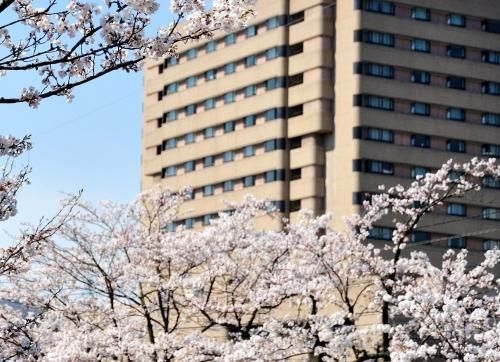 Hotel New Otani Nagaoka3