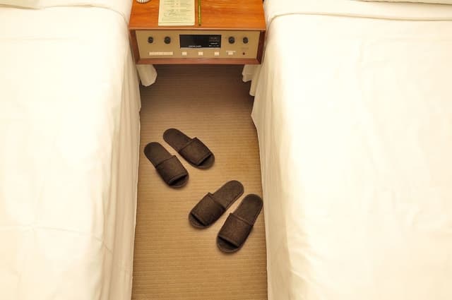 Standard Twin Room, Non Smoking, Double Occupancy