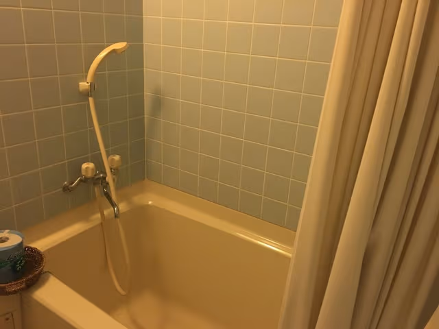 Standard Japanese-Style Room (with Basic Dinner & Breakfast)