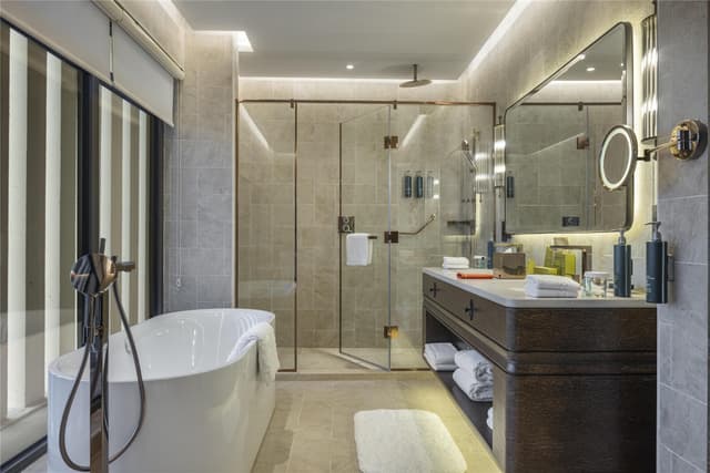 AMBASSADOR SUITE