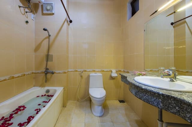 Deluxe Double or Twin Room, Balcony