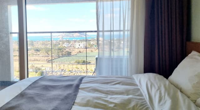 Deluxe Room (Pet Friendly)