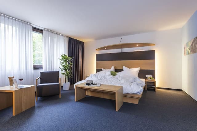 Business Plus Double Room